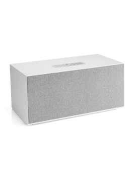AUDIO PRO C20