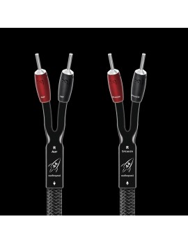 AudioQuest  Rocket 44
