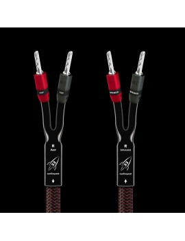 AudioQuest Rocket 33