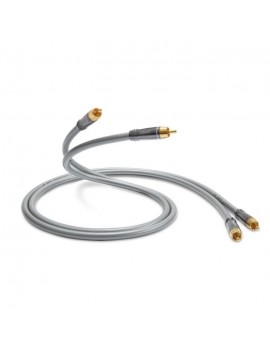 QED Performance Audio 40i